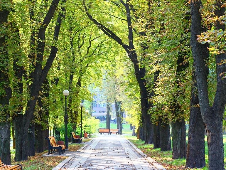 Mariinsky Park image