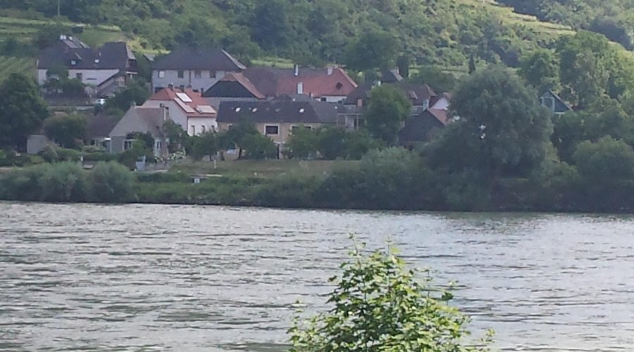 Mit Blick auf die Donau