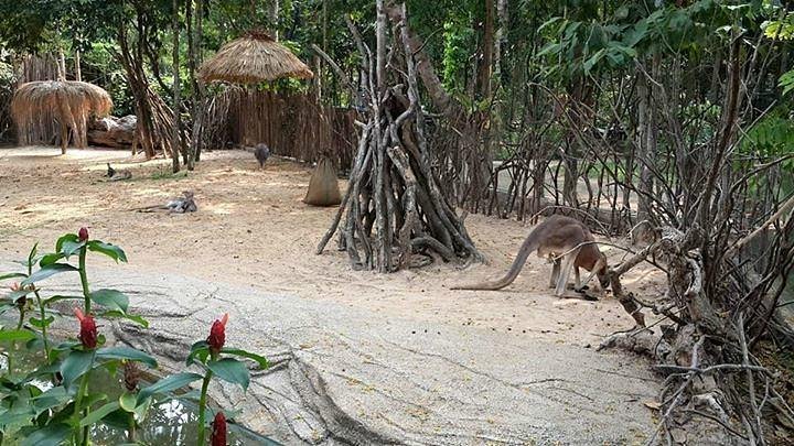 Ubon Zoo image