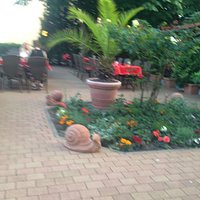 Outside dining