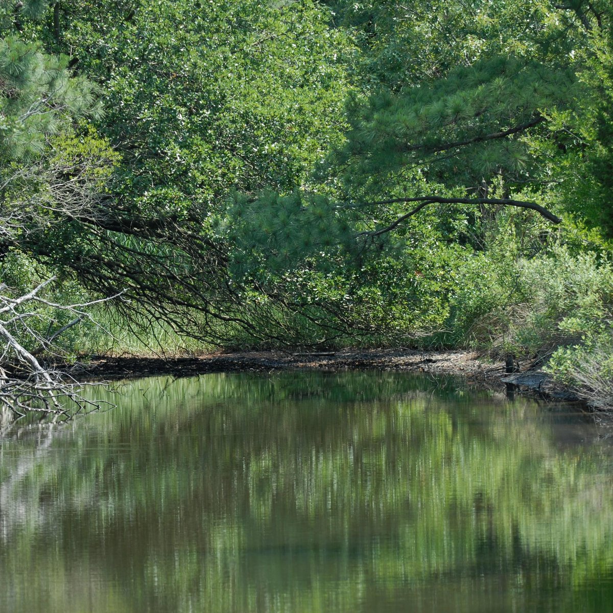 brock-environmental-center-chesapeake-bay-foundation-all-you-need