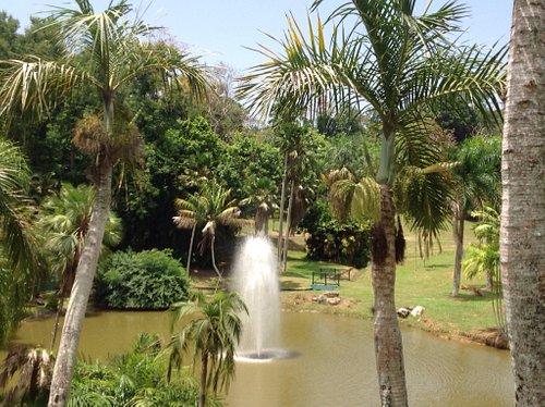 Los jardines serían el punto fuerte de Puerto Rico