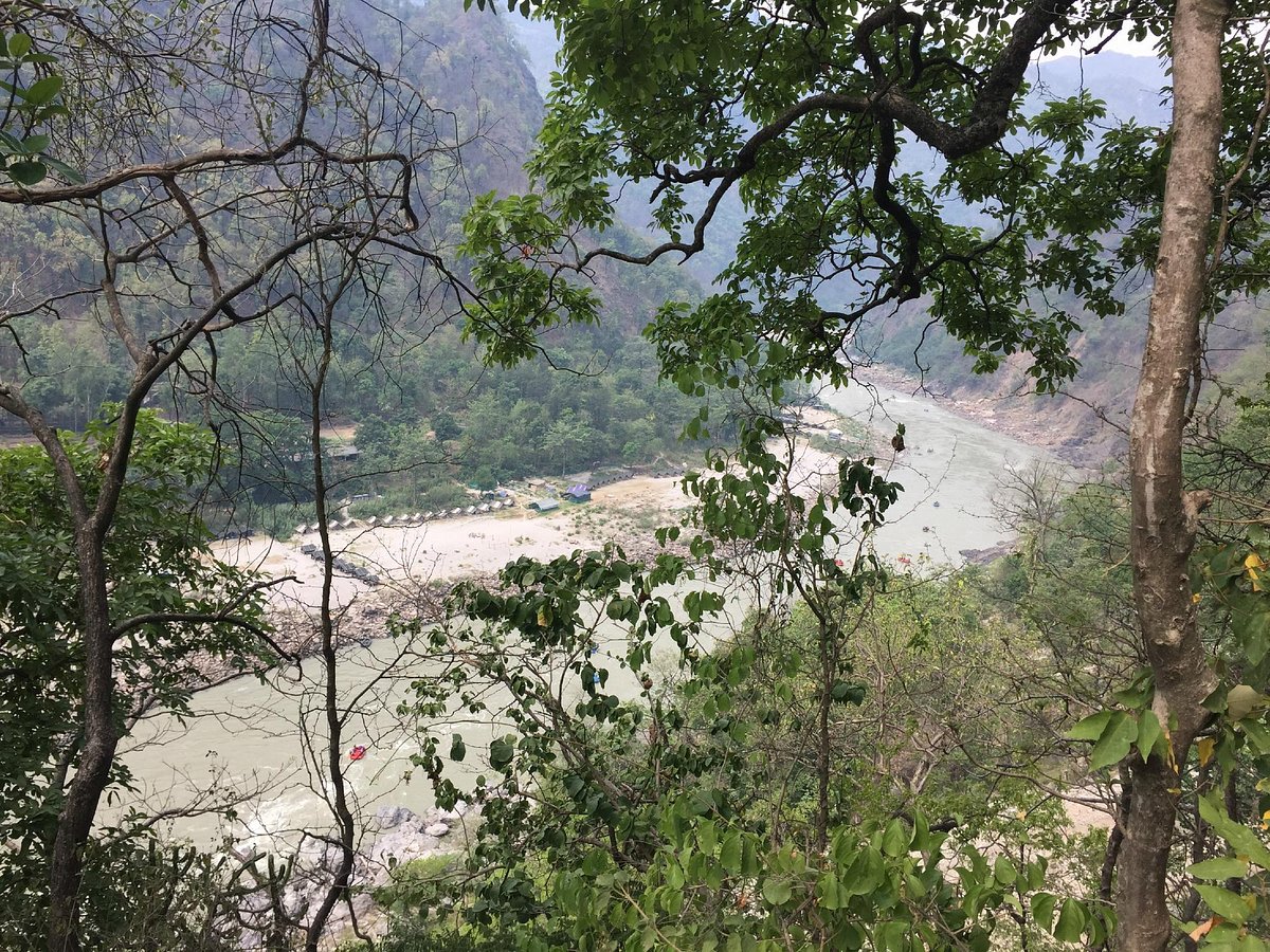 CAMP ROLLER COASTER - Campground Reviews (Rishikesh, India)