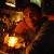 Ankit M