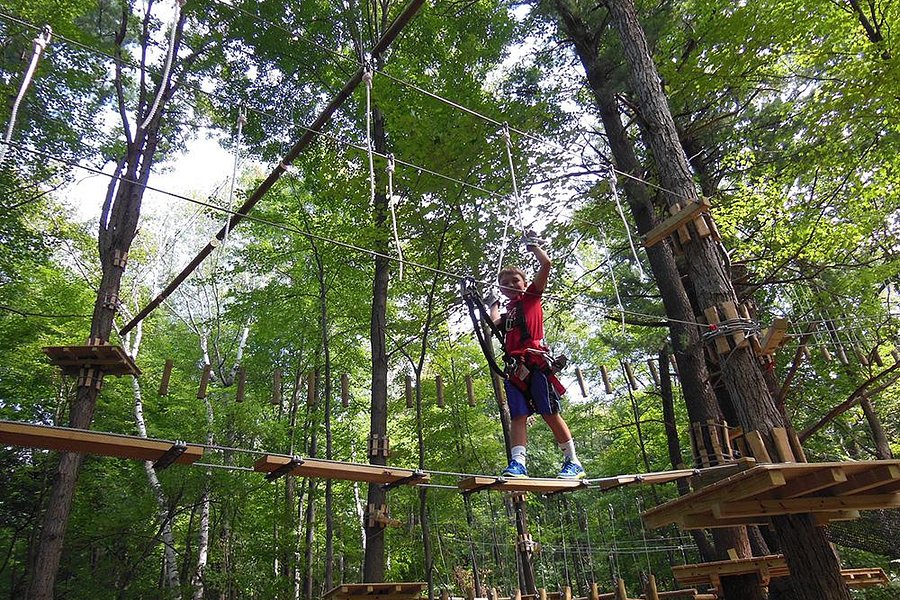 TreeHoppers Aerial Adventure Park image