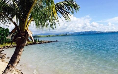 Tropical