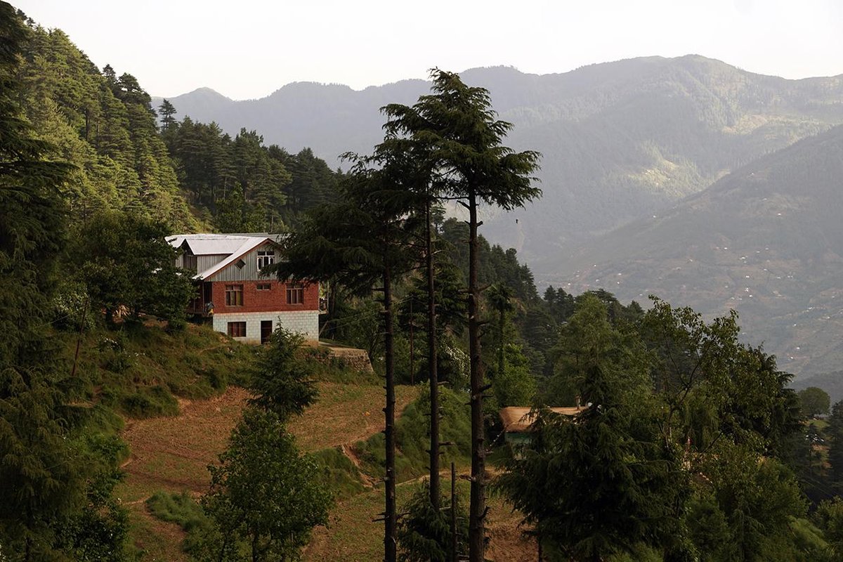 HOTEL SUBASH PALACE (Patnitop, Hindistan) - Otel Yorumları ve Fiyat ...