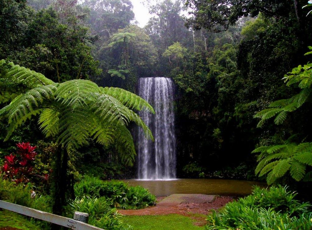 Cairns Tableland Tours - All You Need to Know BEFORE You Go