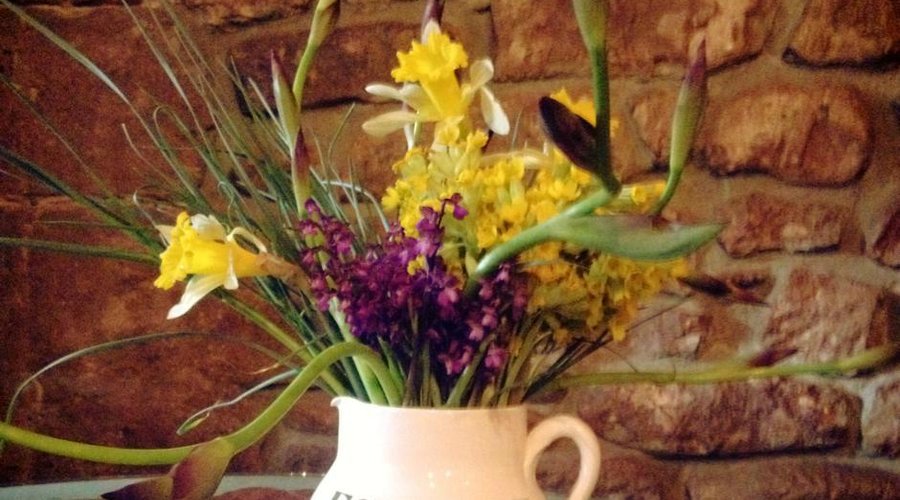 Flores de primavera