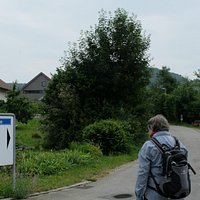 Start in Effingen