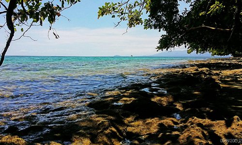 The rather quiet part of the island; protected marine sanctuary as written
Got lucky to see a s