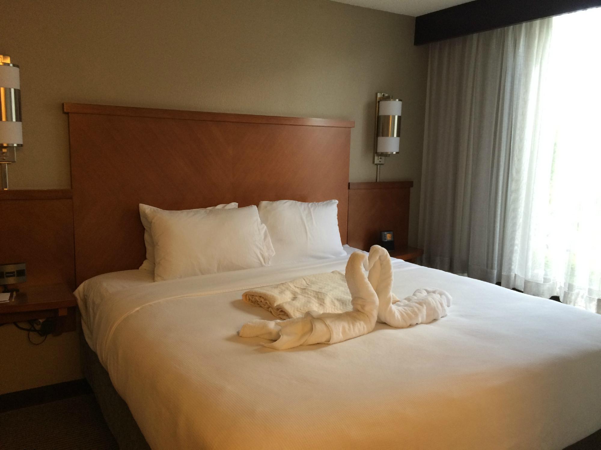 Hotel photo 54 of Hyatt Place Orlando / I-Drive / Convention Center.