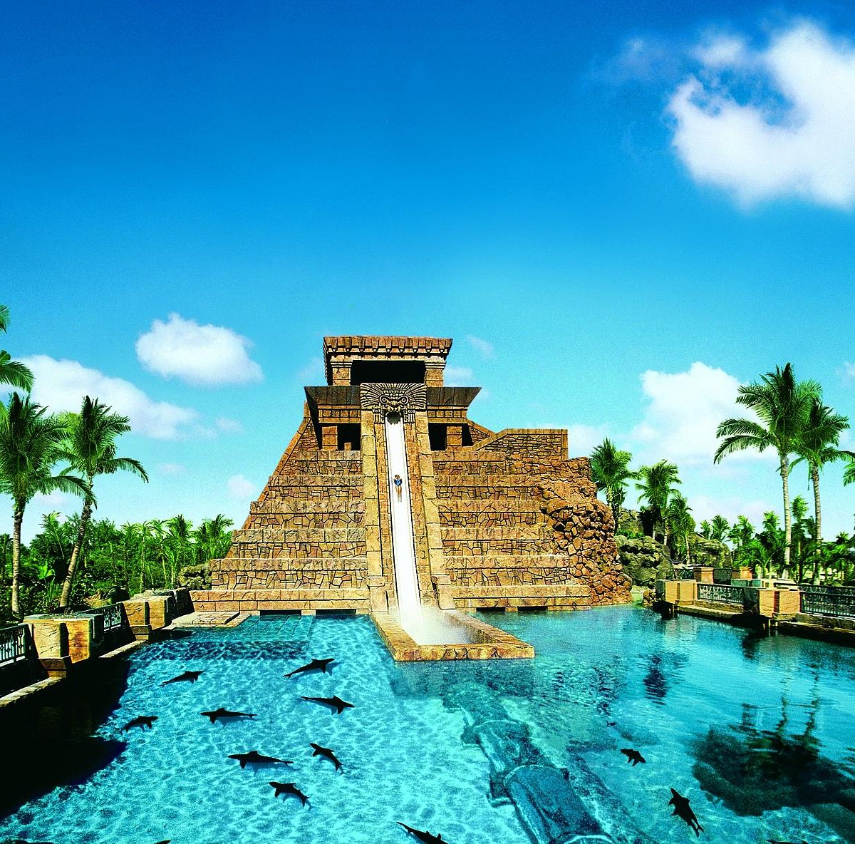 Aquaventure at Atlantis Paradise Island - What To Know BEFORE You