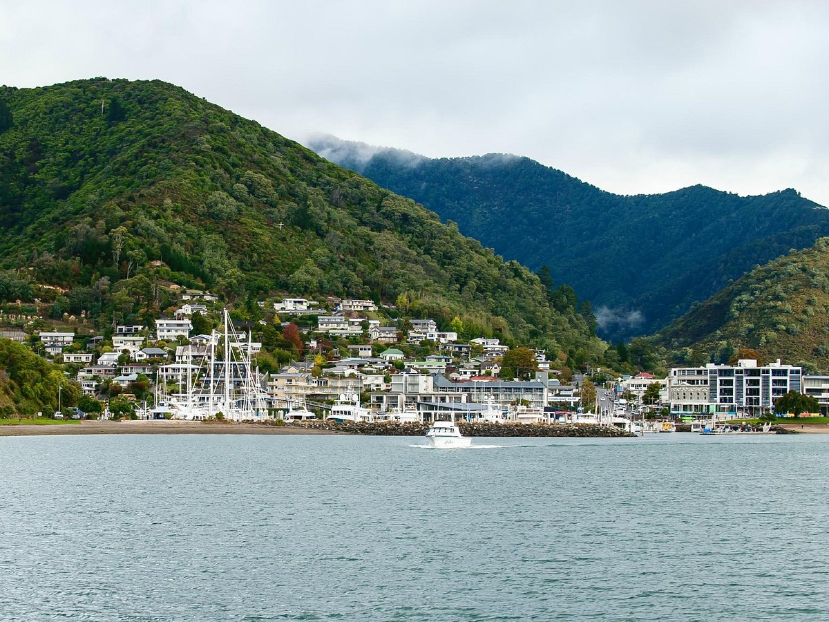 queen charlotte yacht club shelly beach picton