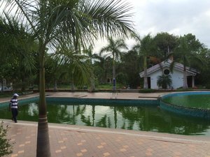 Pool & Beach