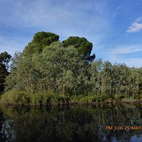 St Peters Billabong