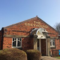 Greyhound