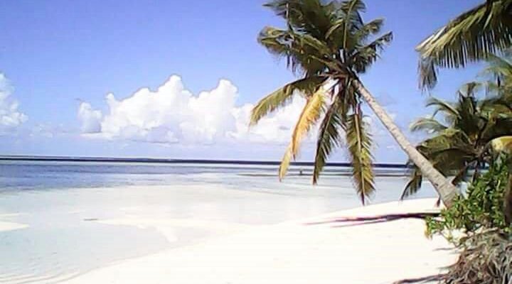 Pearl Beach View