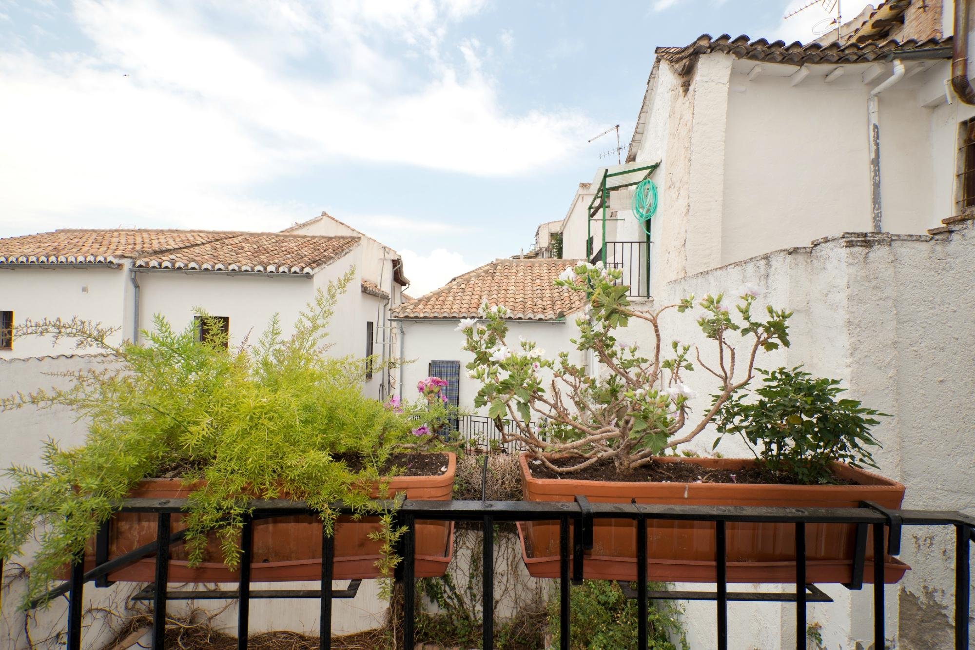 Oasis Backpackers Hostel Granada by null