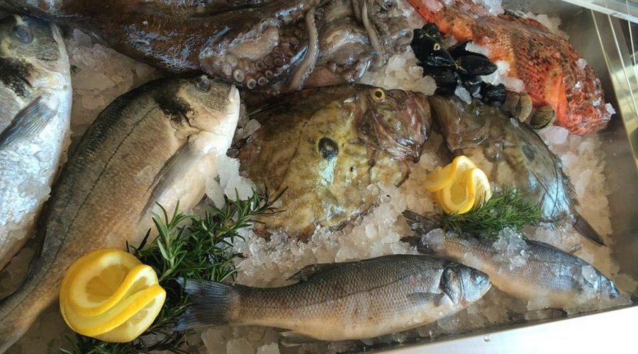 fish