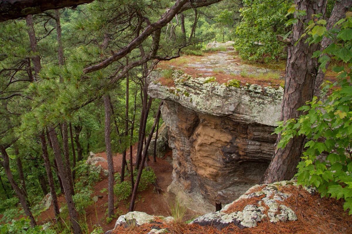 Hiking in clearance ozark national forest