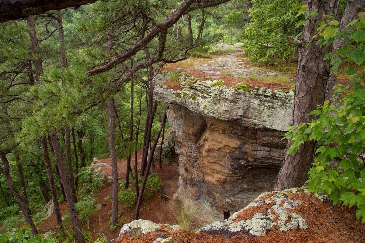 OZARK NATIONAL FOREST ARKANSAS ESTADOS UNIDOS