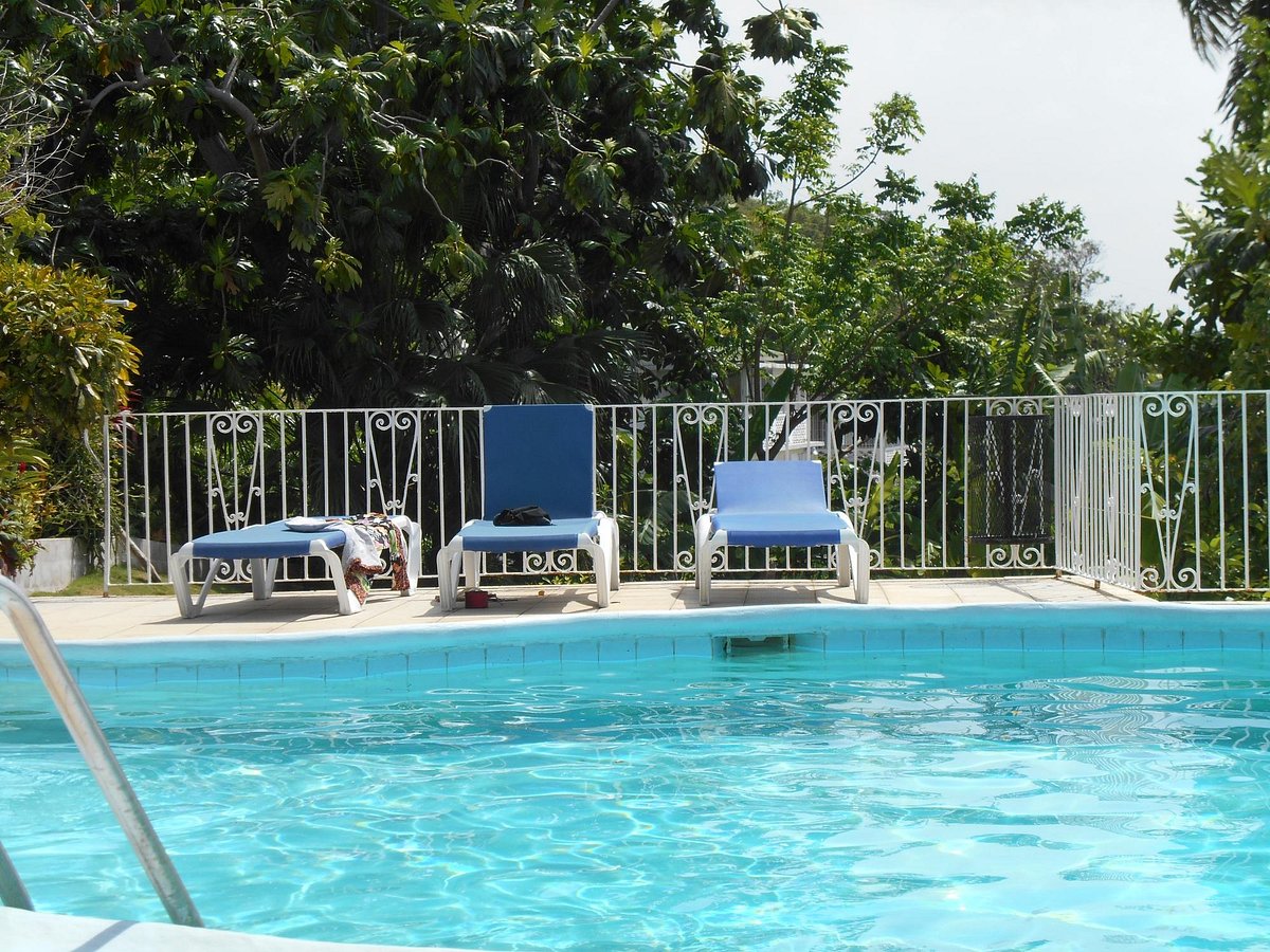 Palm View Guest House &amp; Conference Center, hotel in Montego Bay