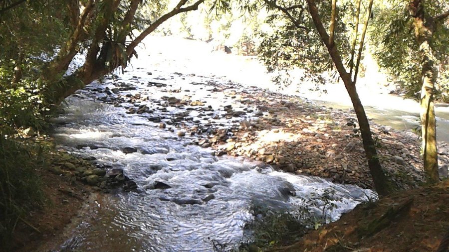 Beautiful clean, fresh river