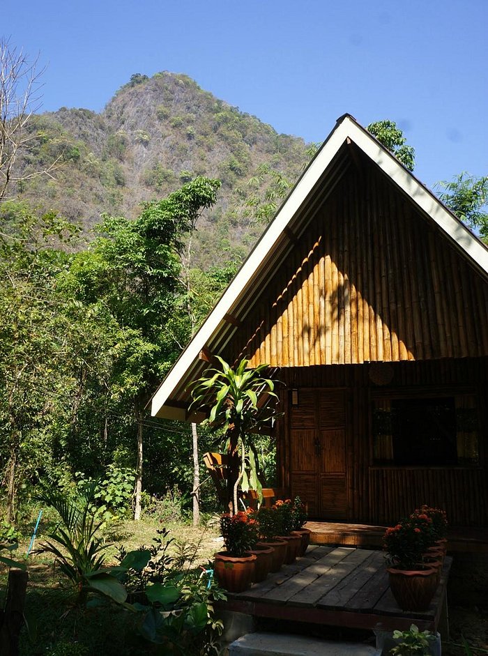 OUR JUNGLE HOUSE (KHAO SOK NATIONAL PARK, TAILÂNDIA): 1.480 fotos,  comparação de preços e avaliações - Tripadvisor