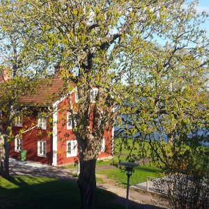 Hotell Grönfeltsgården