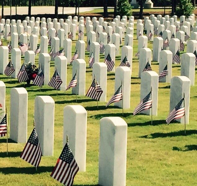 Fort Jackson National Cemetery image