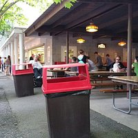 From the dining area