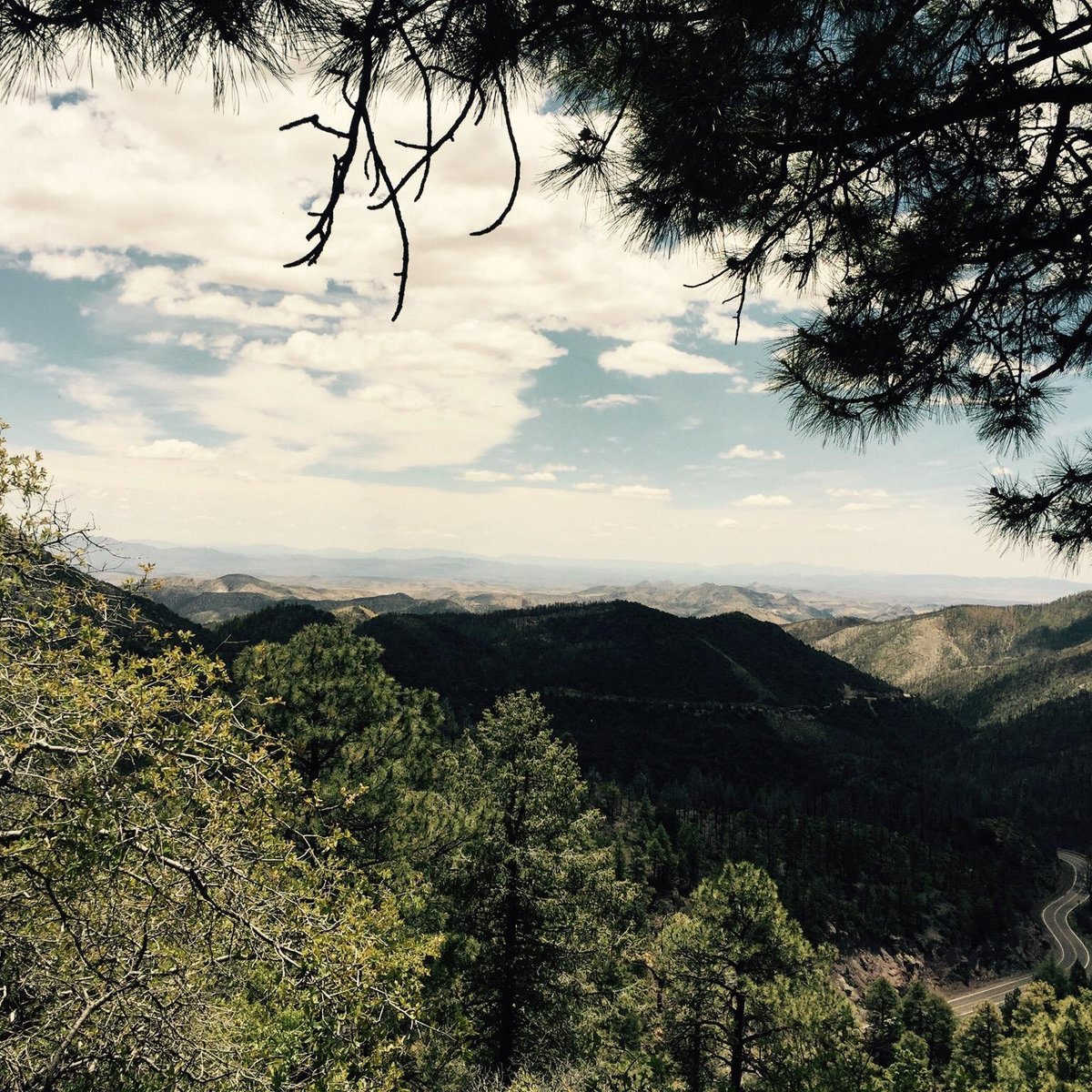 Gila National Forest - All You Need to Know BEFORE You Go (2024)