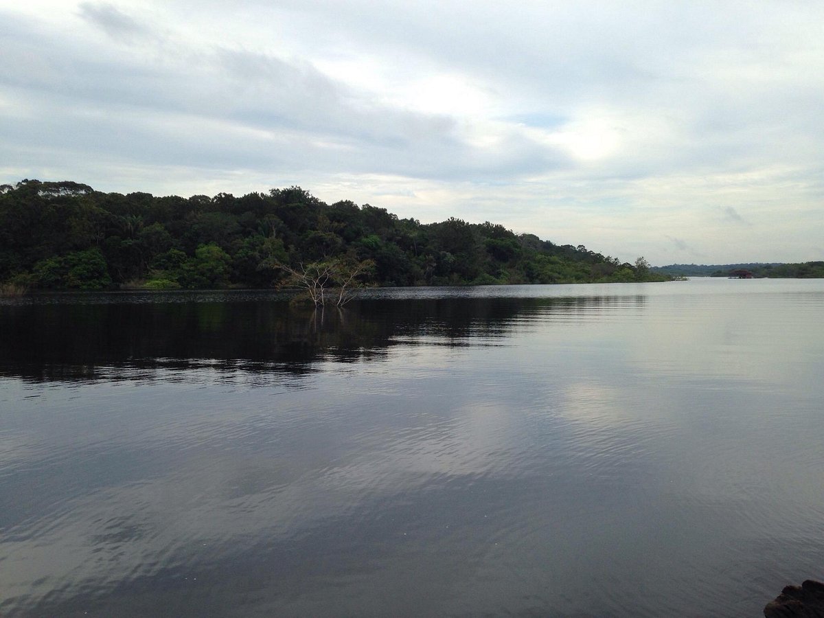 AMAZONAS ECO LODGE (Manaus) - Lodge Reviews & Photos - Tripadvisor