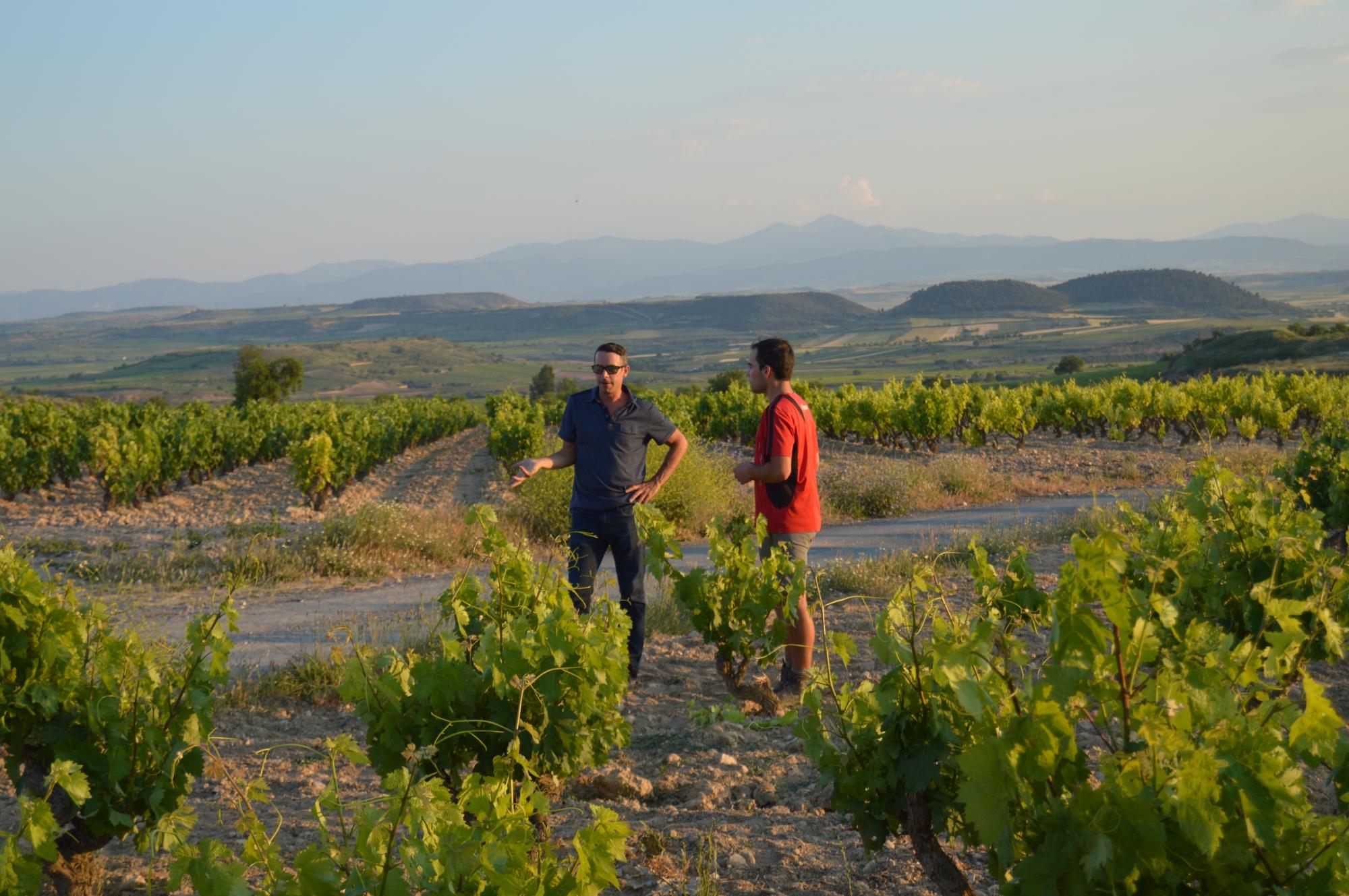 Rioja Wine Trips - All You Need To Know BEFORE You Go (2024)