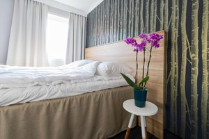Rom og suite