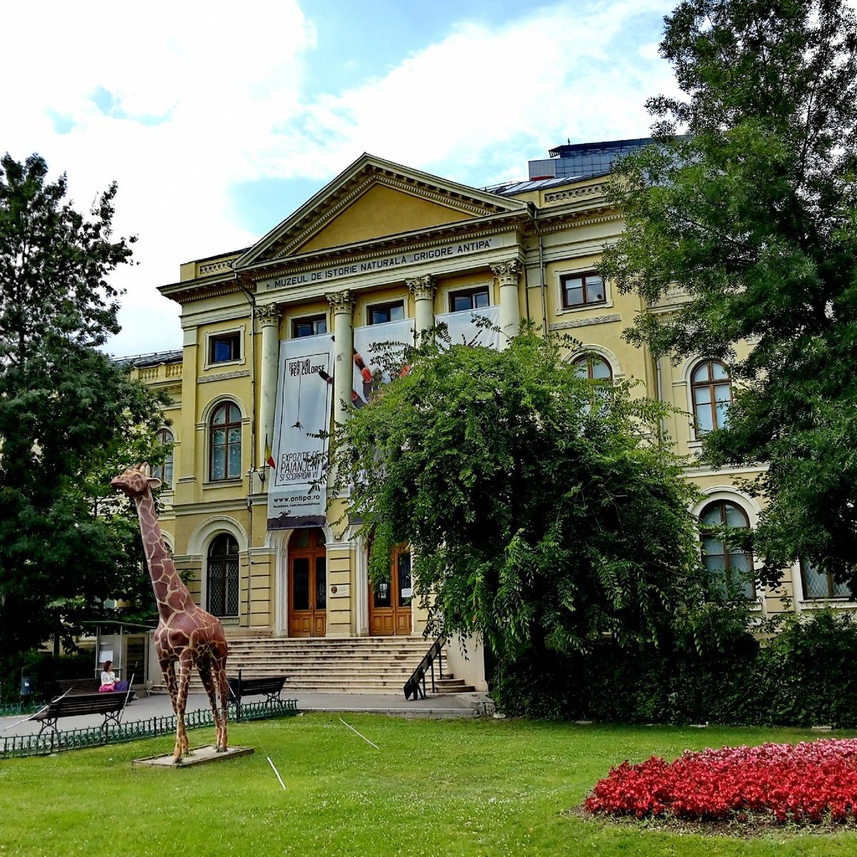 Grigore Antipa National Museum of Natural History, Бухарест: лучшие советы  перед посещением - Tripadvisor