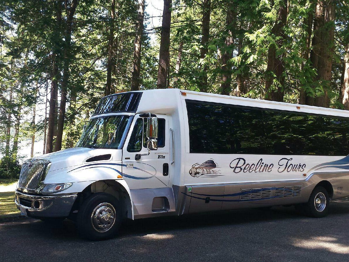beeline charters and tours