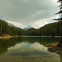 A view of Moose Lake