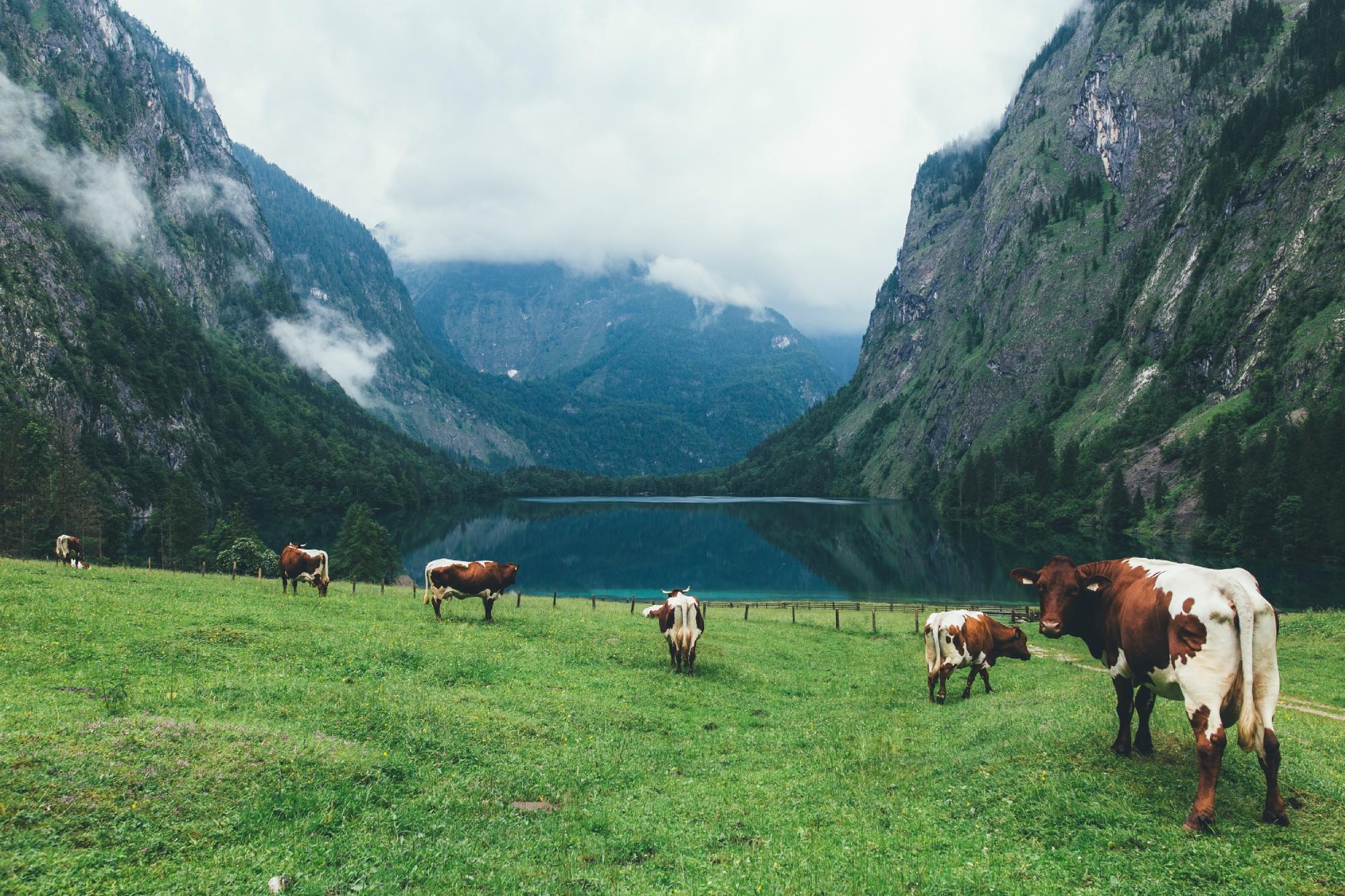 Nationalparkzentrum - Haus Der Berge - All You Need To Know BEFORE You ...