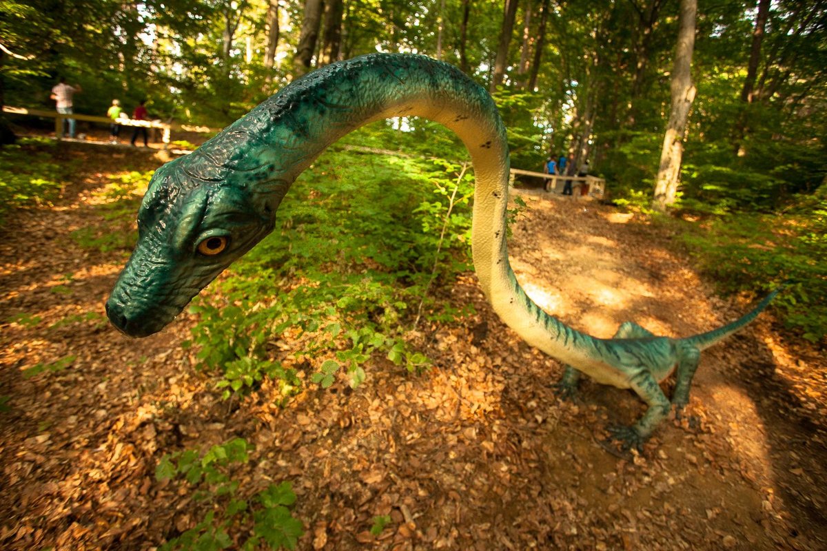 Dino Parc, Раснов: лучшие советы перед посещением - Tripadvisor