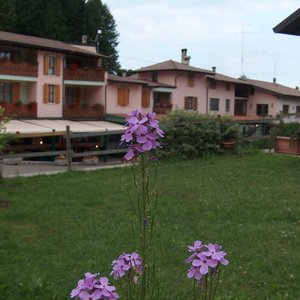 esterno