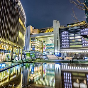 Shopping for Knives in Osaka — Amy Roth Photo