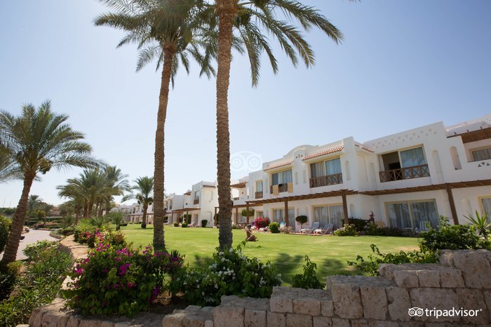 CONTINENTAL GARDEN REEF RESORT - Reviews (Sharm El Sheikh, Egypt)