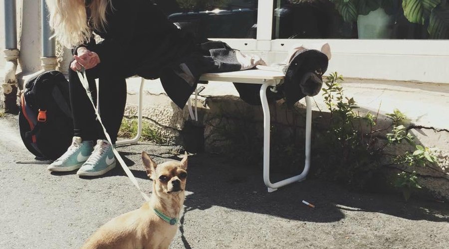 We watch your dog when you come visit us.