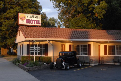 Flamingo Motel image