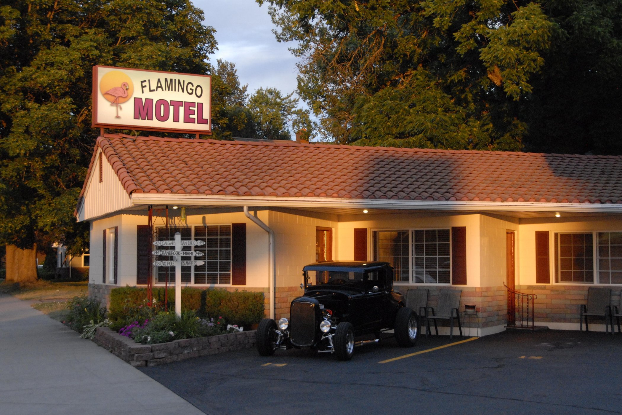 Flamingo Motel by null