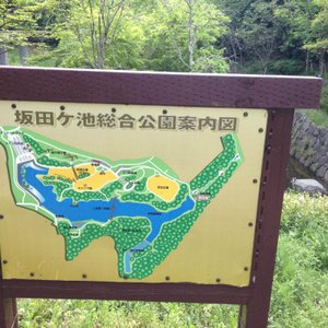 成田市10 大最佳公園及自然景點 Tripadvisor