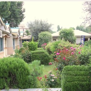 Garden outside the rooms