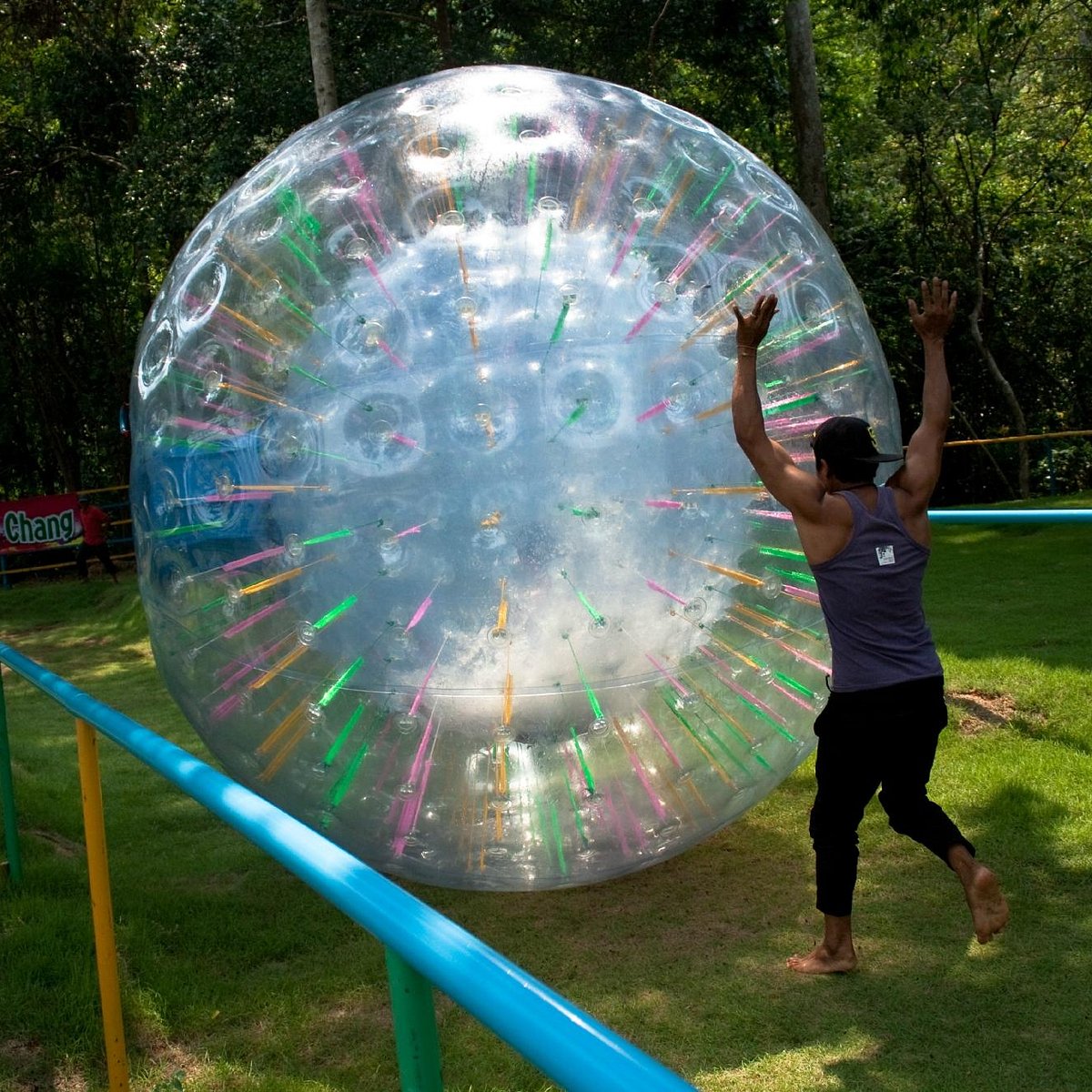 To do zorbing you must be